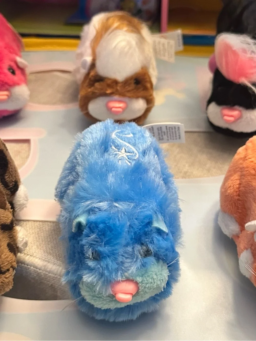 Cepia zhu pets